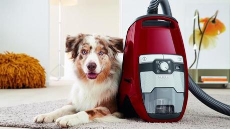 Miele - Blizzard CX1 Dog & Cat Vacuum